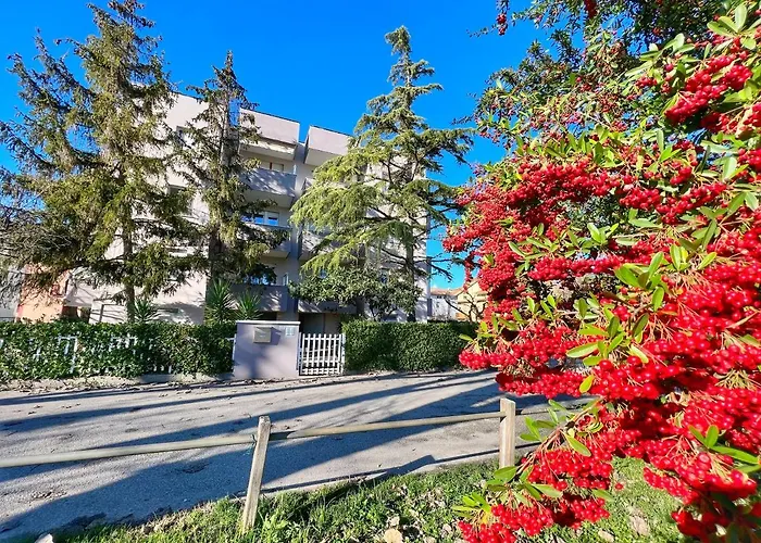 Lovely A Due Passi Dal Mare Rimini